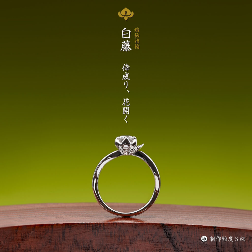 萬時 白藤 1