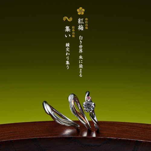 萬時 紅梅 3