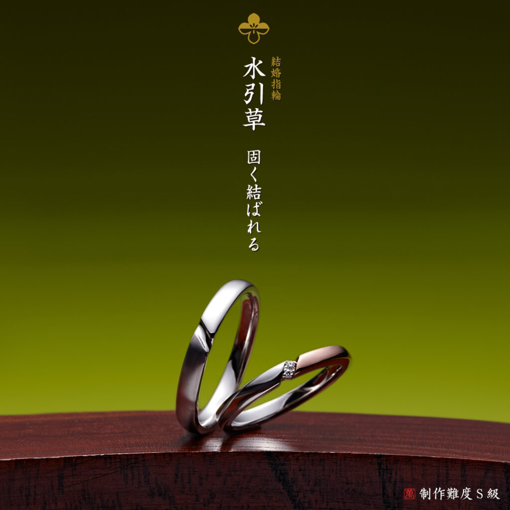萬時 水引草 1