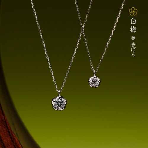 白梅